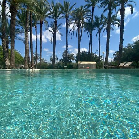 Pink Lemon House Bed & Breakfast Elche Luaran gambar