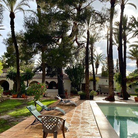 Pink Lemon House Bed & Breakfast Elche Luaran gambar