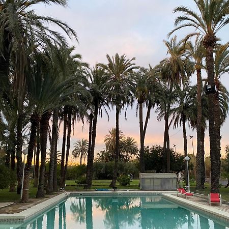 Pink Lemon House Bed & Breakfast Elche Luaran gambar