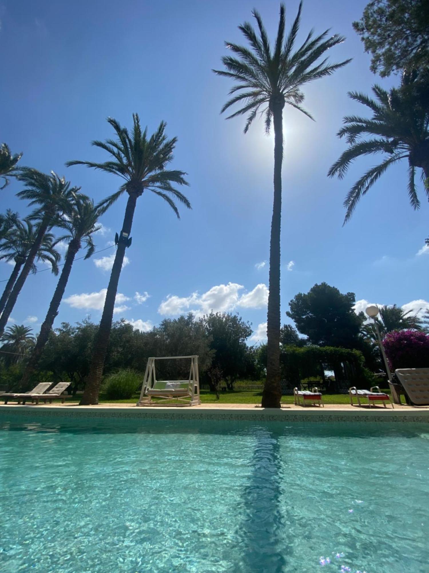Pink Lemon House Bed & Breakfast Elche Luaran gambar
