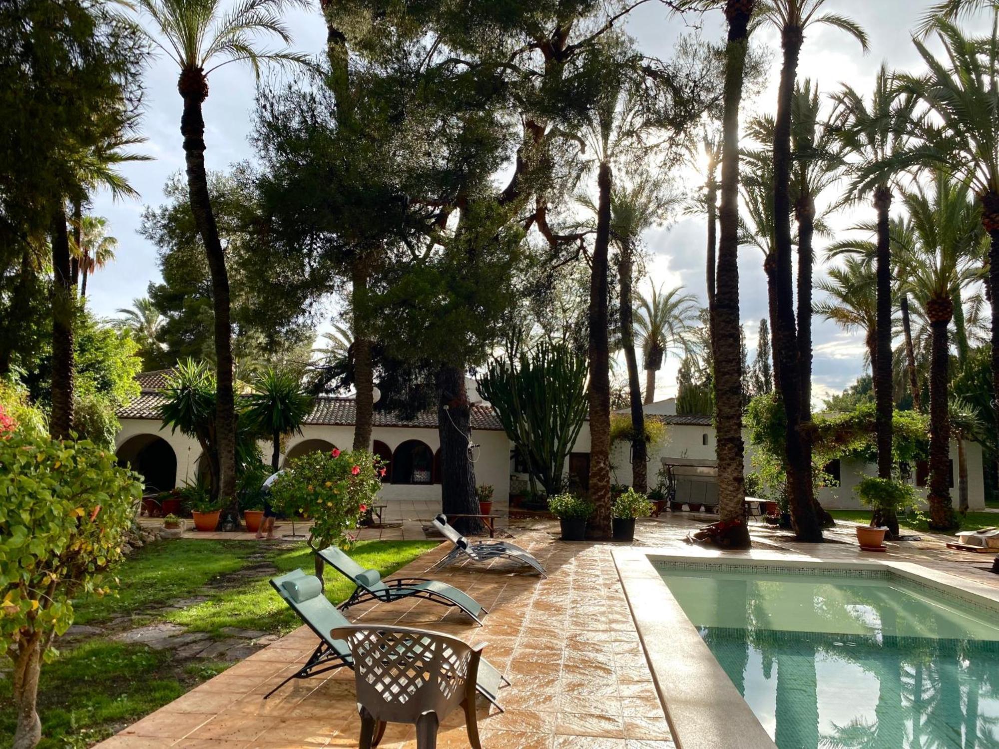 Pink Lemon House Bed & Breakfast Elche Luaran gambar
