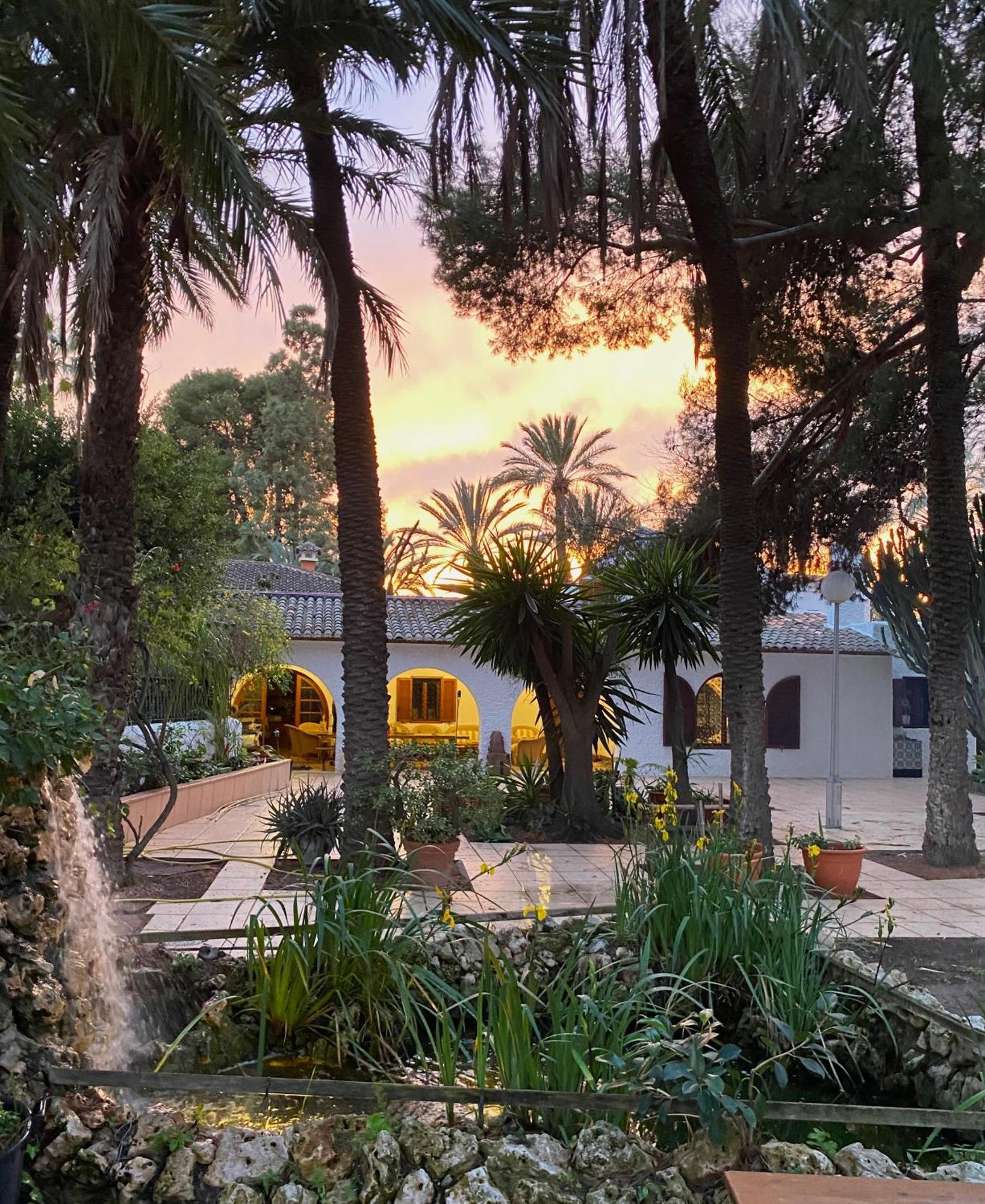 Pink Lemon House Bed & Breakfast Elche Luaran gambar