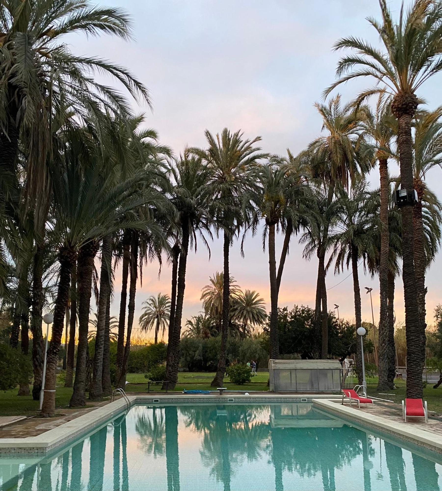 Pink Lemon House Bed & Breakfast Elche Luaran gambar