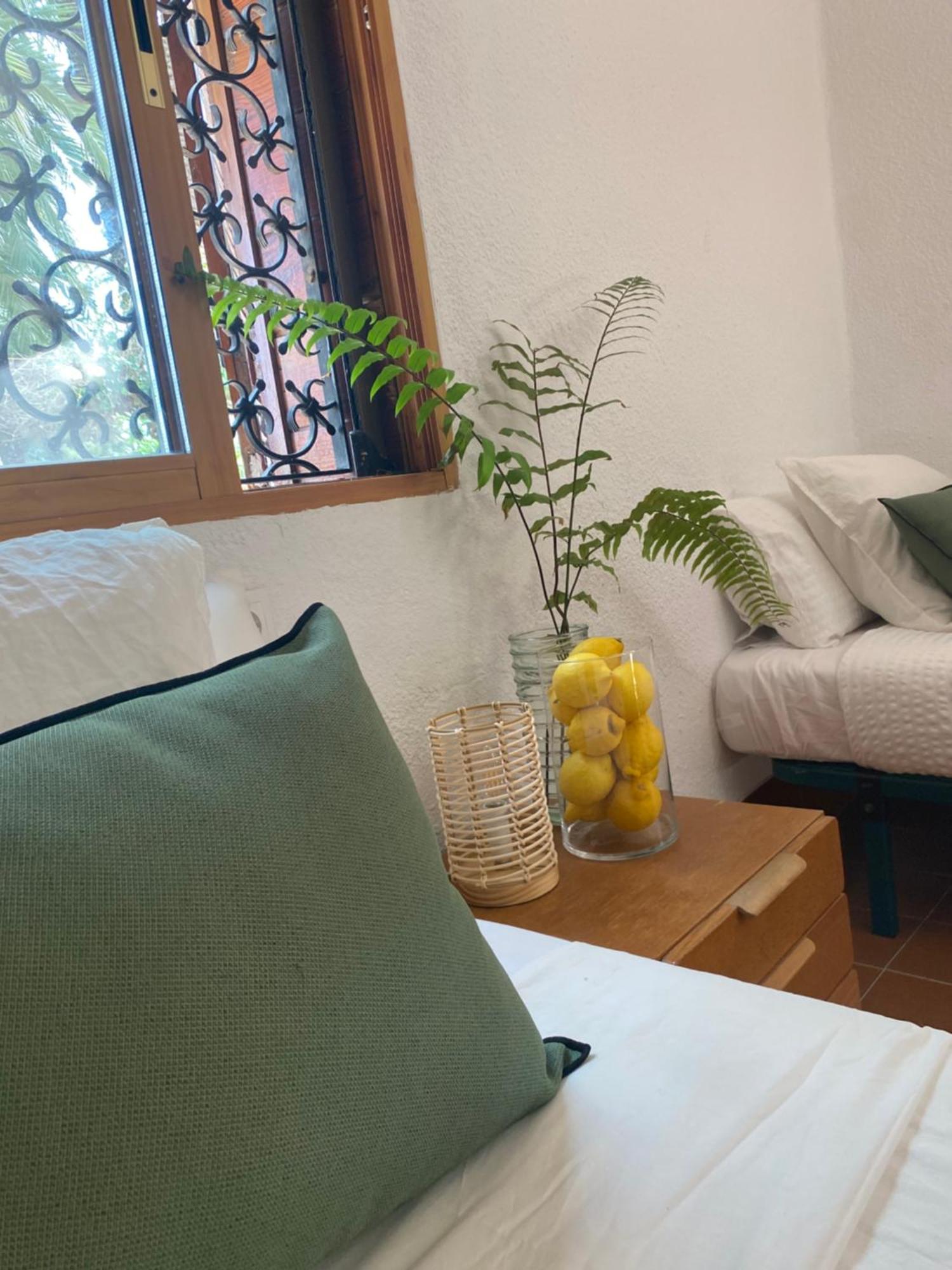 Pink Lemon House Bed & Breakfast Elche Luaran gambar