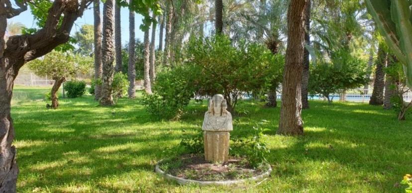 Pink Lemon House Bed & Breakfast Elche Luaran gambar