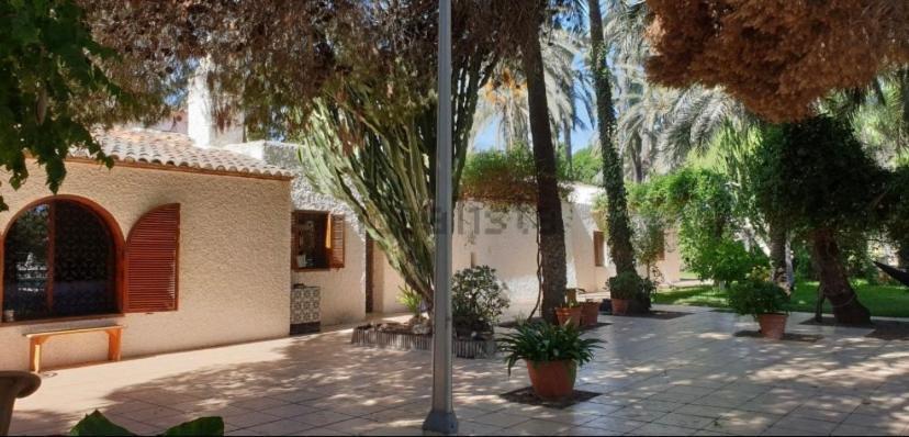 Pink Lemon House Bed & Breakfast Elche Luaran gambar