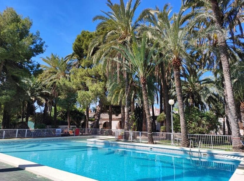 Pink Lemon House Bed & Breakfast Elche Luaran gambar