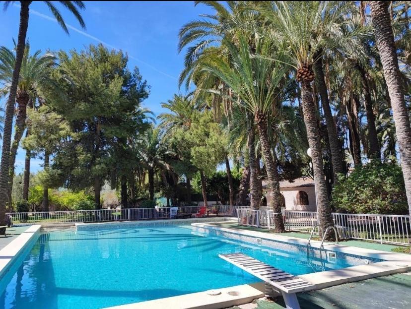 Pink Lemon House Bed & Breakfast Elche Luaran gambar