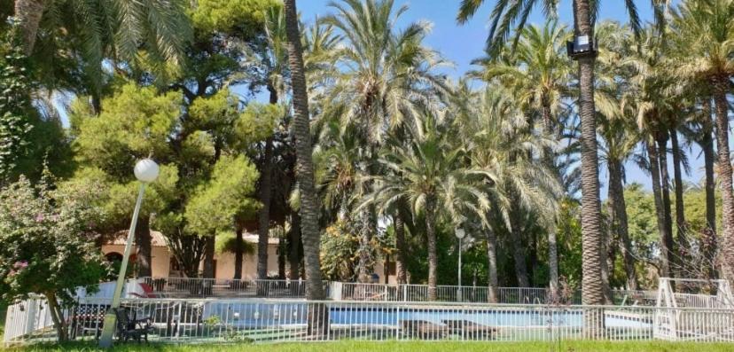 Pink Lemon House Bed & Breakfast Elche Luaran gambar