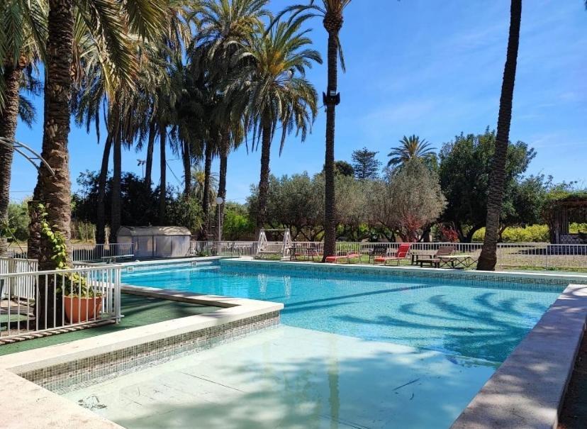 Pink Lemon House Bed & Breakfast Elche Luaran gambar